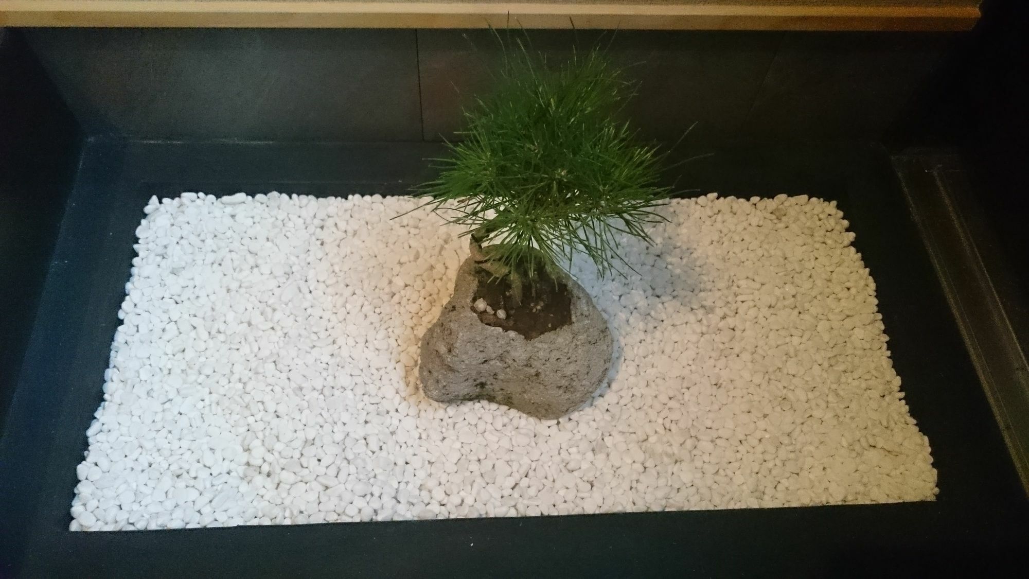 Kanesuke Kyōto Exterior foto